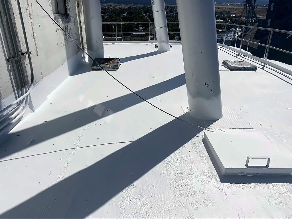 After: the same CHS grain silo roof in Grangeville, Idaho, restored with a white roof coating